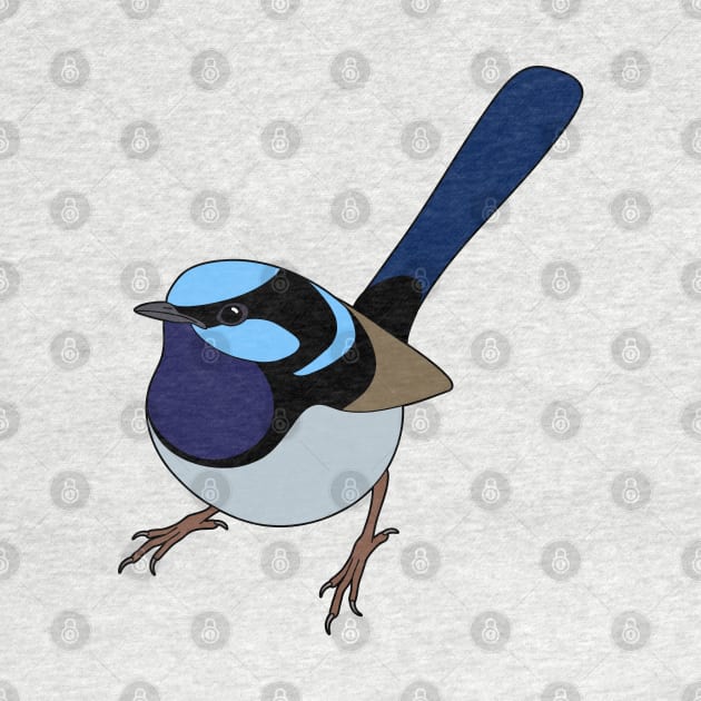 Superb Fairy Wren by BinChickenBaby